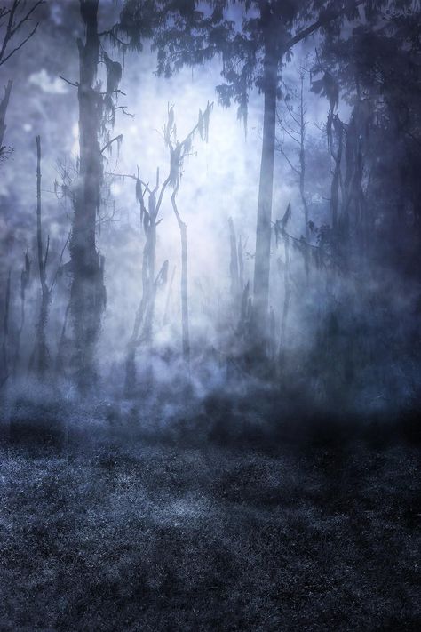 UNRESTRICTED - Haunted Woods Premade by frozenstocks on DeviantArt Haunted Woods, Book Cover Background, Pink Clouds Wallpaper, Wattpad Background, Book Cover Design Inspiration, Wattpad Book Covers, Normal Wallpaper, Book Cover Template, Forest Background