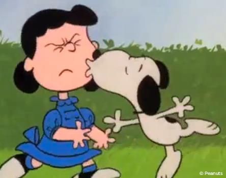 Ugh .... I've been kissed by a dog! Easter Beagle Charlie Brown, Snoopy Beagle, Easter Beagle, Lucy Van Pelt, Peanuts Comic Strip, Snoopy Funny, Snoopy Images, Peanuts Cartoon, Red Baron