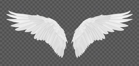 Realistic Angel Wings, Wing Images, Realistic Angel, Angel Wings Images, Angel Wings Background, Angel Wings Graphic, Angel Wings Png, Wings Sketch, Jesus Christ Illustration