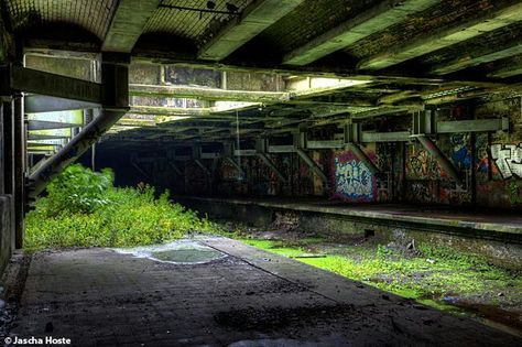 Abandoned Subway, Garden Station, Abandoned Train Station, Apocalypse Aesthetic, Abandoned Hospital, Abandoned Train, Subway Station, Tube Station, Abandoned Mansions