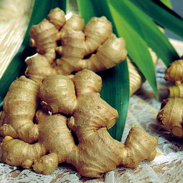 Ginger, The Health Benefits Skincare Recipes, Health Benefits Of Ginger, Ginger Benefits, Homemade Beauty, Ginger Recipes, Diy Skincare, Ginger Root, Healing Herbs, Alternative Health