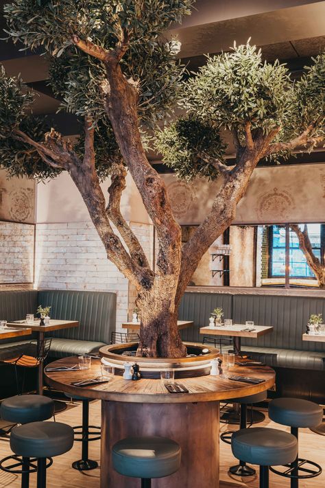 This bonsai style bespoke olive tree was exactly what this restaurant required! Small Restaurant Ideas, Car Showroom Interior, Pub Interior Design, Restaurant Table Design, Tree Restaurant, Outdoor Restaurant Design, Italian Cafe, Restaurant Seating, Bonsai Styles