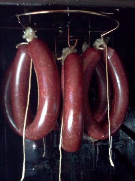 Venison Ring Bologna Deer Marinade, Deer Bologna Recipe, Homemade Bologna, Smoker Diy, Deer Sausage, Ring Bologna, Venison Sausage Recipes, Bologna Recipes, Curing Meat