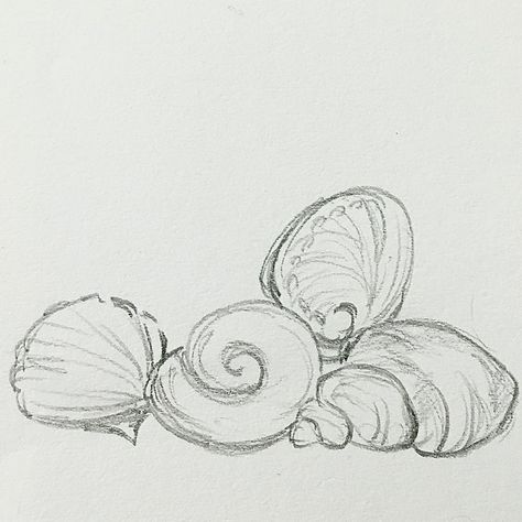 Easy Detailed Sketch, Seahours Drawing, Cute Sketchbook Drawings, Sea Creatures Sketch Drawings, Sea Art Aesthetic, Sketchbook Ideas Ocean, Mermaid Core Drawing, Ocean Related Drawings, Ocean Drawings Aesthetic