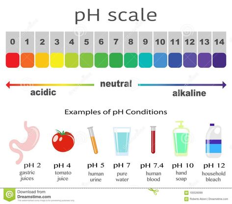 Scale of ph value for acid and alkaline solutions Ph Chart, Cool Chemistry Experiments, Ph Scale, Best Ramadan Quotes, Chemistry Periodic Table, Science Revision, Acid And Alkaline, Acid Base Balance, Chemistry Worksheets