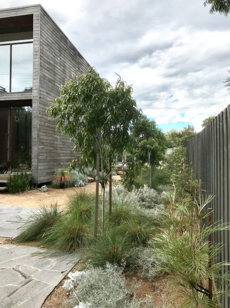 Modern Native Garden #garden #backyarddesign #gardendesign Moderne Have, Australian Garden Design, Garden Landscaping Ideas, Australian Native Garden, Landscaping Inspiration, Australian Garden, Modern Landscape Design, Coastal Gardens, Modern Garden Design