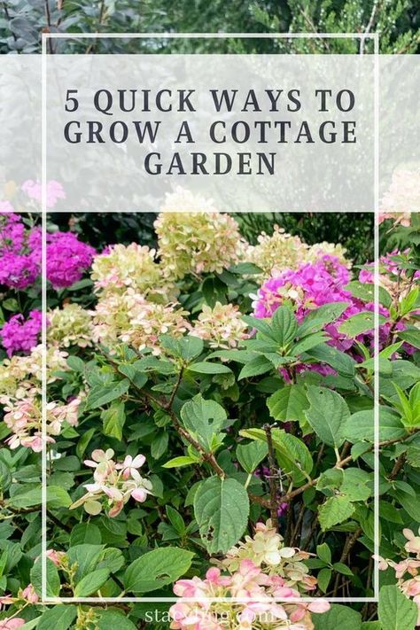 Coastal Cottage Garden, Cottage Gardening, Gardening Tricks, Rain Gardens, Planting Design, Charming Cottage, Container Gardening Flowers, Cottage Garden Design, Gardening Flowers