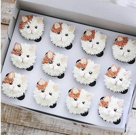 Frost Cupcakes, Cupcakes Design, Kitty Cupcakes, Cat Cupcakes, Cupcake Cake Designs, Animal Cupcakes, Tres Leches Cake, Animal Cakes, Kitty Party