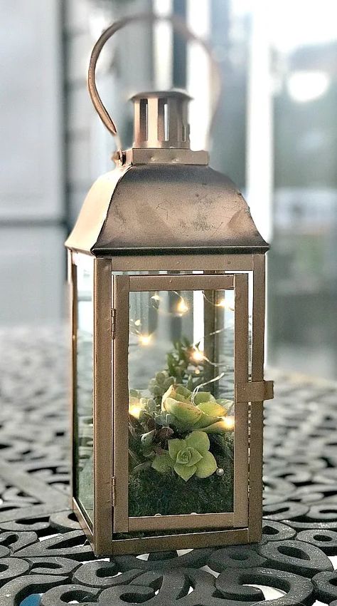 Succulent Lantern, Lantern With Fairy Lights, Vertical Succulent Gardens, Copper Lantern, Lantern Centerpieces, Red Lantern, Fairy Light, Room Decorations, Succulents Garden