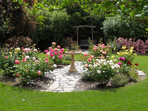 Backyard Rose Garden Garden Design Layout Landscaping, Rosen Beet, Casa Hobbit, Trees Garden, Rose Garden Design, Muar, Photo Landscape, Garden Design Layout, Gardening Plants