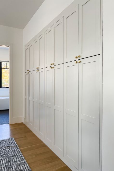 Built In Cabinets Ikea Hack, Ikea Cabinet Closet, Full Wall Closet Ideas, Built In Narrow Cabinets, Pax Living Room Built Ins, Built In Cabinet Closet Bedroom, Hall Closet Cabinet Ideas, Cabinet Closet Ideas, Hall Closet Ideas Hallways