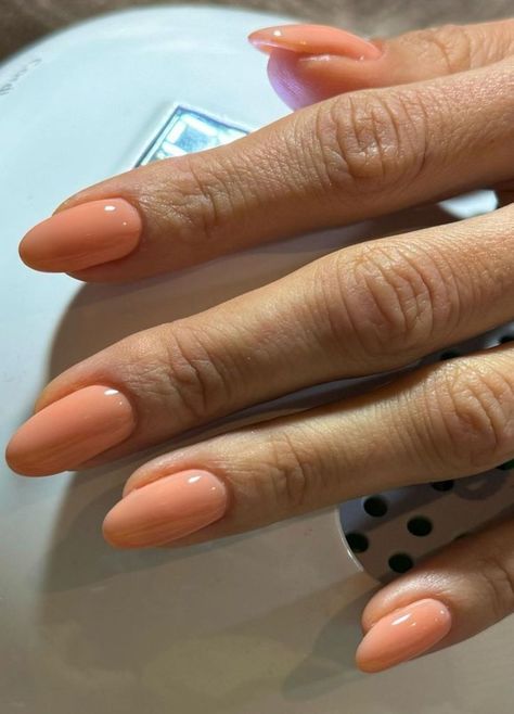 10 Winter Nail Colors to Try This Year | The Everygirl Gel Nails Inspo Summer, Summer Nails Olive Skin, Neutral Spring Nail Colors, Peachy Nail Color, Subtle Orange Nails, Nail Solid Color Ideas, Peachy Nails Designs, One Colored Nails, Summer Neutral Nail Colors