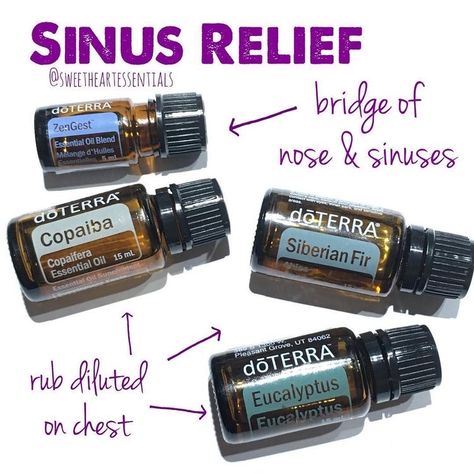 Essential Oils For Asthma, Oils For Sinus, Natural Asthma Remedies, Doterra Recipes, Doterra Oil, Essential Oils For Colds, Are Essential Oils Safe, Sinus Relief, Doterra Essential Oils Recipes