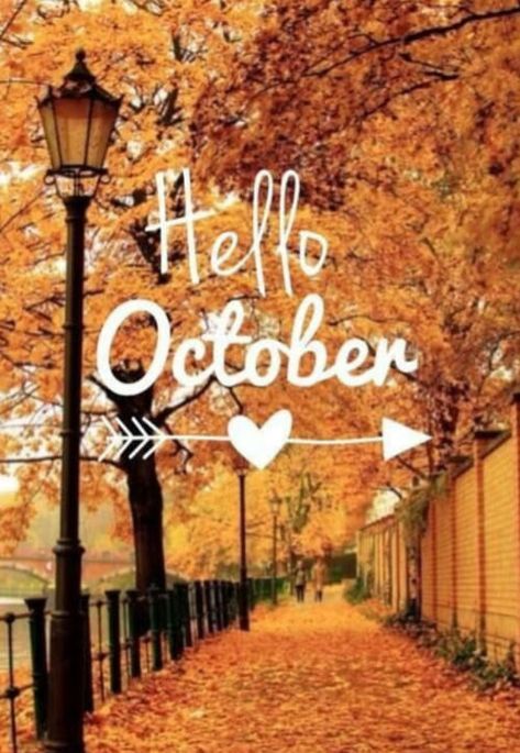 #october #OctoberVibes #needmorecoffee