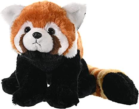 AmazonSmile: Wild Republic Red Panda Plush, Stuffed Animal, Plush Toy, Kids Gifts, Cuddlekins, 12 Inches : Toys & Games Red Panda Plush, Moodboard Pics, Brown Panda, Panda Stuffed Animal, Panda Plush, Red Pandas, Cuddly Toy, Cute Stuffed Animals, Animal Hospital