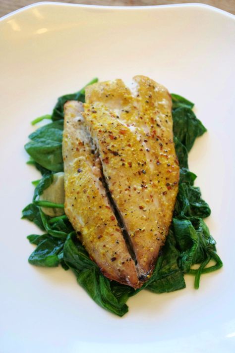 Recipe Contributed by Editor-in-Chief J. Townsend The full name of this fish is Yellowtail Amberjack. They are more commonly known as Yellowtail (not to be confused with Yellowfin, which is Tuna. I… Kingfish Recipes, Grilled Yellowtail, Yellowtail Snapper Recipe, Yellowtail Recipe, Carnivore Meals, Tuna Fish Recipes, Meatless Dinners, Snapper Recipes, Grilled Fish Recipes