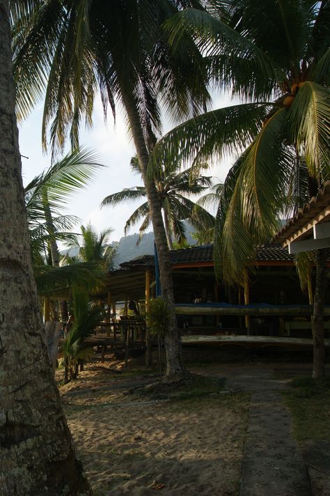 Tioman Island, Pulau Tioman, Film Camera, Summer Aesthetic, Dream Vacations, Philippines, Plants, Travel