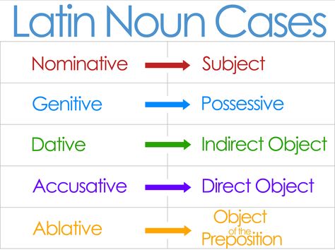 Classical Conversations Cycle 1 Weeks 1 and 2, 13 and 14 Latin Noun Cases Latin Language Learning, Classical Conversations Cycle 1, Learning Latin, Cc Foundations, Learn Latin, Latin Grammar, Teaching Latin, Latin Quotes, Latin Language