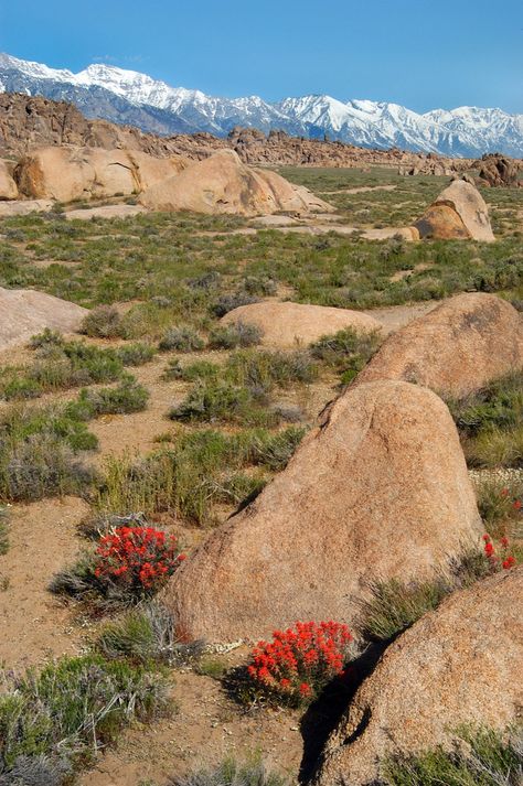 photo Lone Pine California, Eastern Sierras, Mountains California, Mountain Desert, California Mountain, Alabama Hills, Sequoia Tree, Lone Pine, Nevada Mountains