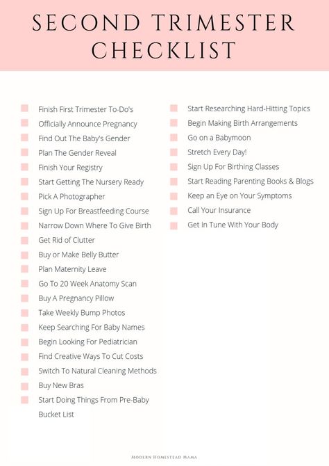 Sofia Grace, Trimester Checklist, Third Trimester Checklist, Trimester By Weeks, Pregnancy Checklist, Baby Checklist, Baby Planning, Second Trimester, Trimesters Of Pregnancy