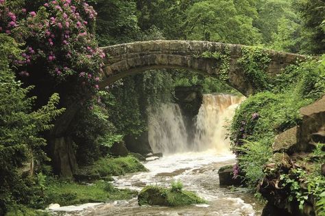 Jesmond Newcastle, Jesmond Dene, 18th Century Landscape, Durham City, Keep Your Distance, Genius Loci, Beauty Spot, Forest Road, Country Park