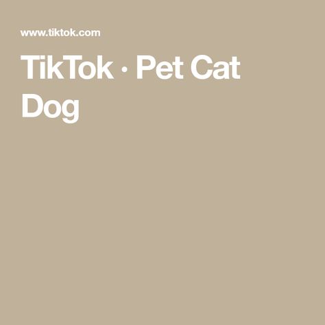 TikTok · Pet Cat Dog Cat And Dog Videos, Dog Videos, Cute Cat Gif, Pet Cat, Dog Gifs, Cat Gif, Animal Gifs, Funny Animal Videos, Pets Cats