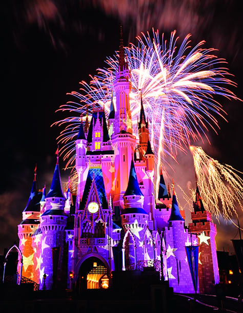 Parques de Orlando: as melhores atrações para crianças Disney World Fireworks, Dunia Disney, Disney Fireworks, Disney Parque, Foto Disney, Orlando Parks, Disney World Magic Kingdom, Walt Disney World Vacations, Vacation Planner