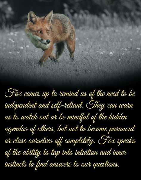 Spirit Animal Fox, Fox Symbolism, Fox Spirit Animal, Animal Totem Spirit Guides, Animal Infographic, Spirit Animal Meaning, Fox Totem, Animal Meanings, Spirit Magic