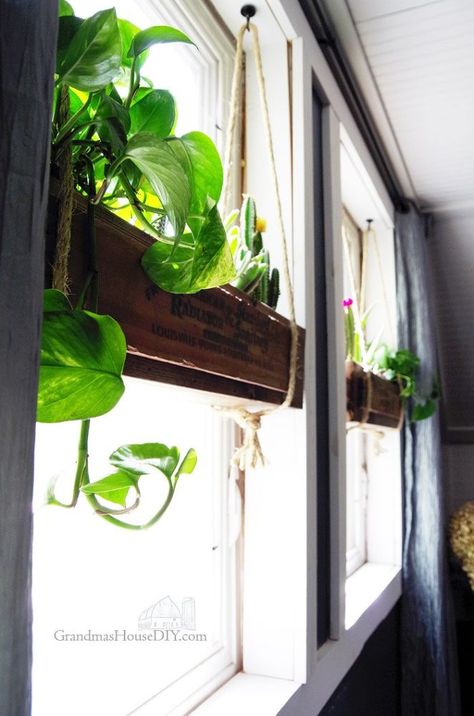 This gorgeous idea costs just $10 to make, but it’ll make you smile whenever you see it hanging in your window! Koti Diy, Plant Hanging, Window Plants, Indoor Window, Dekor Diy, 카페 인테리어 디자인, Decoration Plante, Hanging Flower, Work Diy