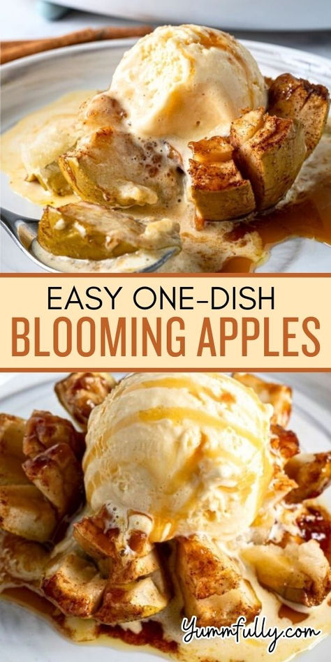 Blooming apples are a quick and easy dessert that will blow your mind. They are visually stunning and taste heavenly. Transform fresh apples into a gourmet-style sweet treat with a melted caramel interior and a cinnamon butter coating. Blooming Apple Recipe, Caramel Interior, Apple Cake Recipe Easy, Melted Caramel, Blooming Apple, Blooming Apples, Easy Meals For One, Apple Recipes Easy, Apple Dessert Recipes