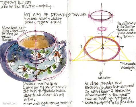 How to draw teacups (and other ellipses) : Liz Steel Watercolor Teacup, Tea Cup Drawing, Travel Sketching, Liz Steel, Plants Watercolor, Tea Cup Art, Left Brain, Sketch Books, My Tea