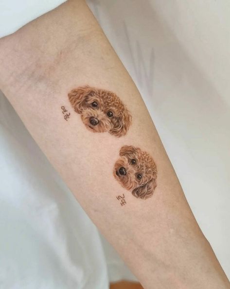 101 Best Poodle Tattoo Ideas That Will Blow Your Mind! 12 Outsons Poodle Silhouette Tattoo, Cockapoo Tattoo Ideas, Cavoodle Tattoo, Cavapoo Tattoo, Maltipoo Tattoo, Toy Poodle Tattoo, White Dog Tattoo, Poodle Tattoo Ideas, Poodle Tattoo