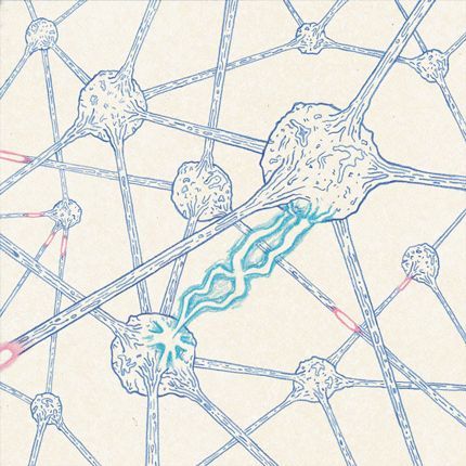 Tom morris Cell Architecture, Neuroscience Art, Brain Art, Science Illustration, Improve Focus, Scientific Illustration, Neurology, Anatomy Art, Neuroscience