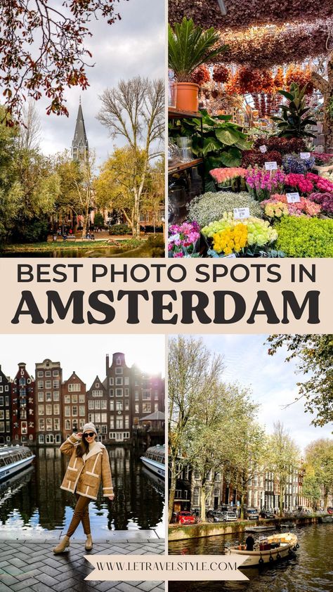 Amsterdam Travel Tips, Netherlands Photography, Amsterdam Tulips, Amsterdam Itinerary, Amsterdam City Guide, Amsterdam Travel Guide, Amsterdam Photography, Amsterdam Photos, Photography Examples