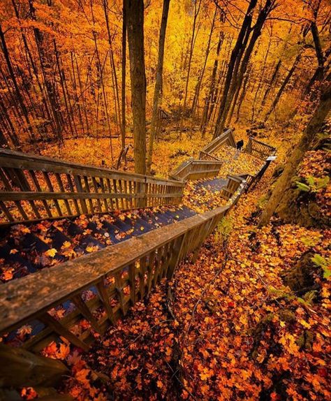 Mono Cliffs Provincial Park, Toronto, Canada - 9GAG Baking Halloween Cookies, Baking Halloween, Ontario Road Trip, Ontario Travel, Canada Photos, Fall Hiking, Autumn Scenery, Halloween Cookies, Canada Travel