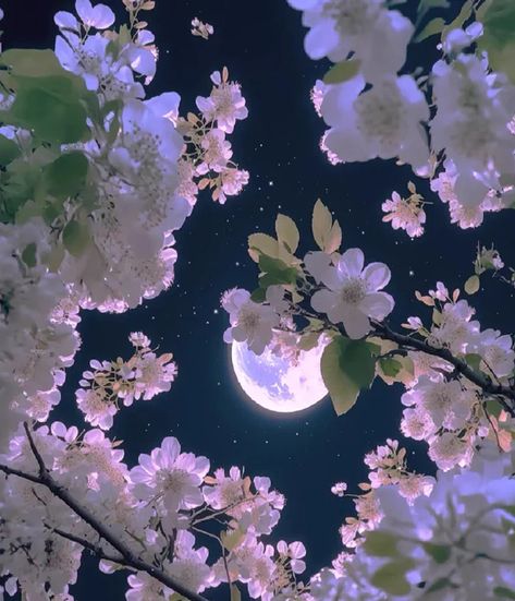 (99+) 𒆜Gϋʅisƚαɳ❀𒆜 on Tumblr Whatsapp Wallpaper, Nothing But Flowers, Pretty Landscapes, Moon Photography, Watch Wallpaper, Apple Watch Wallpaper, Beautiful Moon, Moon Flower, Beautiful Flowers Pictures