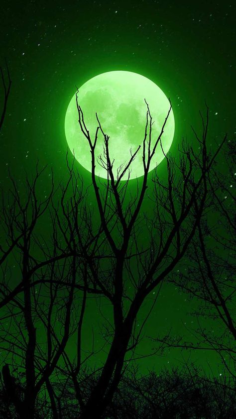 Green Iphone Wallpaper, Nature Verte, Hijau Neon, Dark Green Wallpaper, Green Moon, Verde Smeraldo, Verde Neon, Green Iphone, Ipad Wallpapers