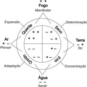 Arcanos Menores - Os quatro elementos - Clube do Tarô - Tarot Estilo Japandi, Hebrew Vocabulary, Astrology Planets, Elemental Powers, Tarot Tips, A Kind Of Magic, Learn Astrology, Yoga Mantras, Ancient Books