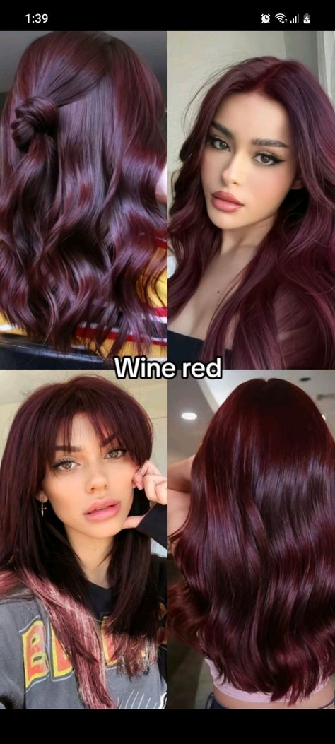 Different Types Of Hair Colors, Prune Hair Color, Red Hair Color On Brown Hair, Blonde Face Framing Highlights Red Hair, Hair Color Ideas Fair Skin, Moonlight Hair Color, 5rv Hair Color, Trendy Hair Color 2024, True Red Hair