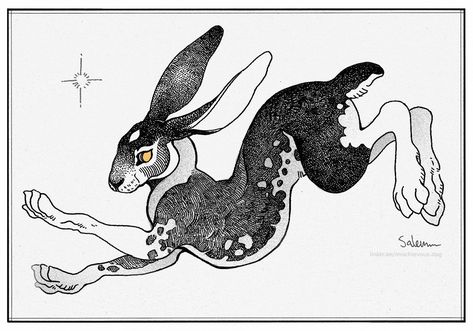 Rabbit Tattoos, Rabbit Art, Bunny Art, Creature Concept Art, Flash Art, Animal Sketches, White Rabbit, Art Plastique, Linocut