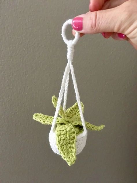 Mini Plant Hanger, Crochet Succulent, Crochet Plant Hanger, Mini Plant, Crochet Cactus, Mode Crochet, Hanger Design, Crochet Plant, Mini Plants