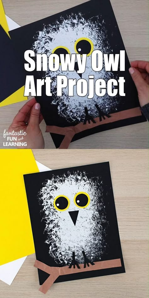 Learn about snowy owls. Then create this snowy owl winter craft for kids as you discuss what you've learned. Great for an arctic animal preschool theme. Owl Art Project, Arctic Crafts, Snowy Owl Art, Animals Preschool, Dekorasi Halloween, January Crafts, Kindergarten Art Projects, Winter Art Projects, Polar Animals