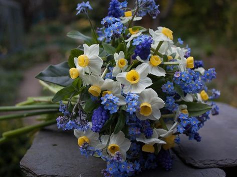 Lovely Spring Hand Tied Wedding Bouquet Comprised Of: White/Yellow Daffodils, Blue Forget-Me-Nots & Green Foliage Daffodil Bouquet Wedding, Forget Me Not Wedding, March Wedding Flowers, Daffodil Wedding, Daffodil Bouquet, Flower Boquet, Yellow Bouquets, April Flowers, Spring Wedding Bouquet