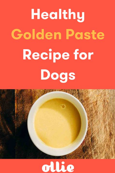 Goldenseal Benefits, Golden Paste For Dogs, Dog Gravy, Golden Paste Recipe, Golden Paste, Diy Dog Food, Natural Pain Relievers, Paste Recipe, Golden Milk