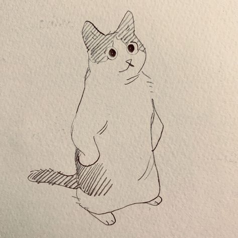 fenkko 🐳 on Twitter: "sometimes i catch my cat standing like this and it’s very good… " Anime Cat Sketch, Art Drawings Sketches Animals, Cat Art Tutorials, Cat Sketches Cute, Cute Cat Art Cartoon, Art Inspiration Drawing Sketches Doodles, Cat Standing Up, Cat Standing Up Drawing, Art Sketches Cat