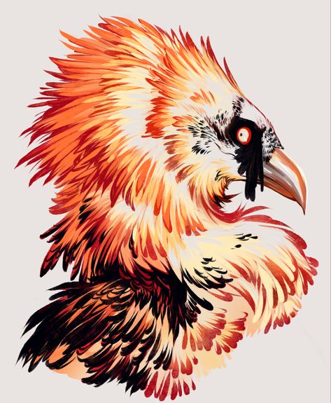 Bearded Vulture, Creature Drawings, Arte Obscura, Mythical Creatures Art, Creature Concept Art, Animal Sketches, Color Lines, Funky Art, Creature Design