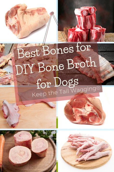 Pet Bone Broth, Homemade Broth For Dogs, Beef Bone Broth Recipe For Dogs, Diy Bone Broth For Dogs, Bone Broth Treats For Dogs, Bone Broth Dog Recipe, How To Make Bone Broth For Dogs, Bone Broth For Dogs Recipes Crockpot, Bone Broth Gummies For Dogs