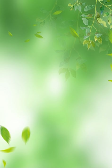 Green,fresh,leaves,halo,simple,background,spring,green background,women Leaf Background Wallpapers, Green Background Wallpapers, Green Colour Background, Leave Background, Green Background Aesthetic, Aesthetic Wallpaper Spring, Green Aesthetic Background, Green Background Design, Spring Lockscreen