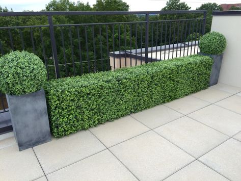 Faux Outdoor Plants, Faux Boxwood, Boxwood Plant, Artificial Hedges, Boxwood Hedge, Back Garden Design, Backyard Remodel, Artificial Boxwood, Outdoor Inspirations