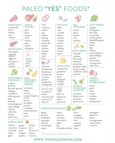 Starting Paleo Diet, Paleo Food List, Practical Paleo, Paleo Diet For Beginners, The Paleo Mom, Paleo Diet Meal Plan, Paleo Mom, Paleo Diet Plan, Paleo Life